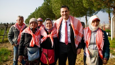 Manisa Büyükşehir Belediyesi'nden Don Zararına Karşı Gübre Desteği
