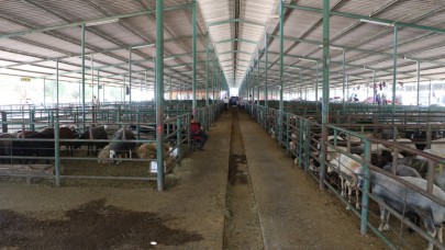 Manisa Büyükşehir’den Bayramda Ücretsiz Ulaşım ve Tam Hizmet