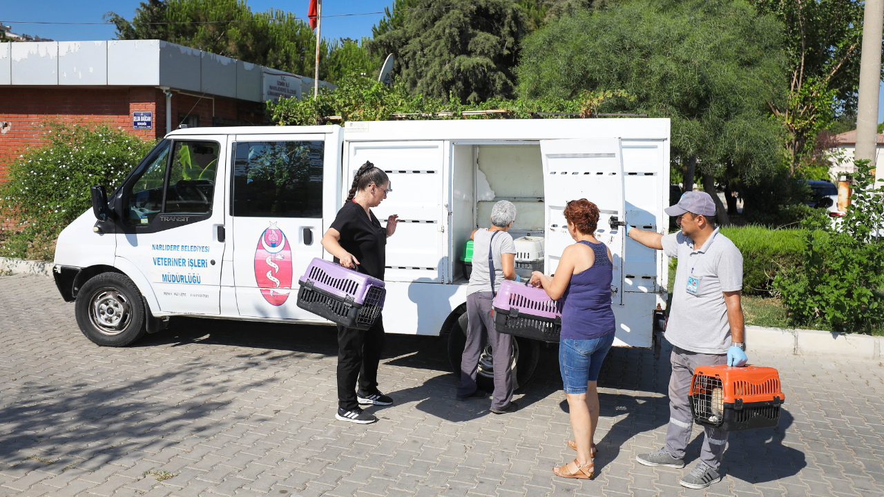 Narlıdere’de Sahipsiz Kediler İçin Toplu Kısırlaştırma Çalışması
