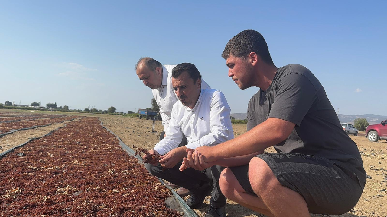 Başevirgen: Üretici Yerinde Durabiliyor Olmaya Şükrediyor
