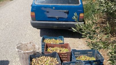 Şehzadeler’de 200 Kilo İncir Çalan 4 Kişi Suçüstü Yakalandı