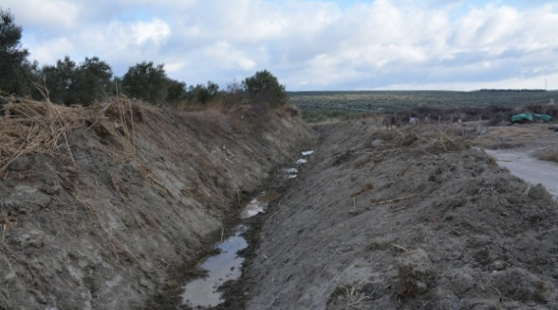 Zeytinliova Deresinde Temizlik Çalışması