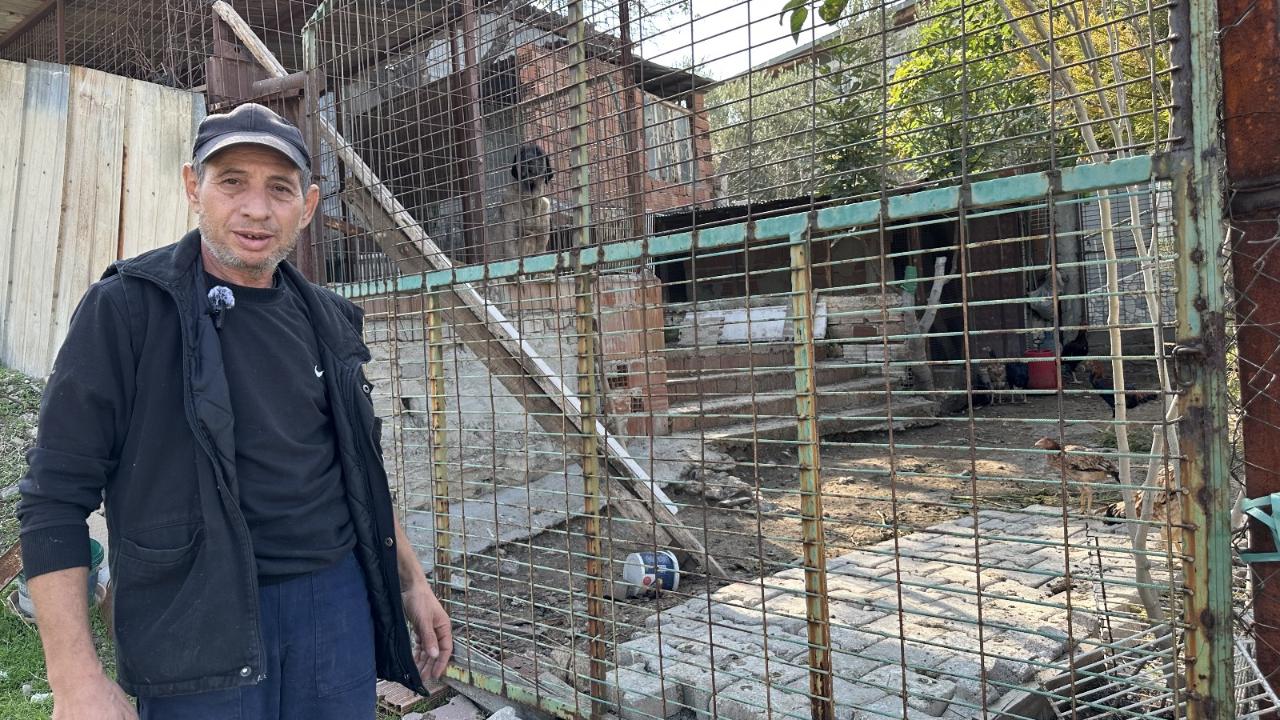 Kozanlı Köyünde “Tavuk Şikayeti”ne Tepki: “Yediğimiz Yumurtayı Çarşıdan mı Getirelim?”