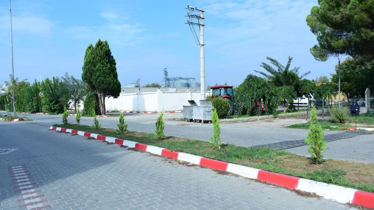 Şehzadeler Belediyesi’nden Mahallelere Yeşil Dokunuş