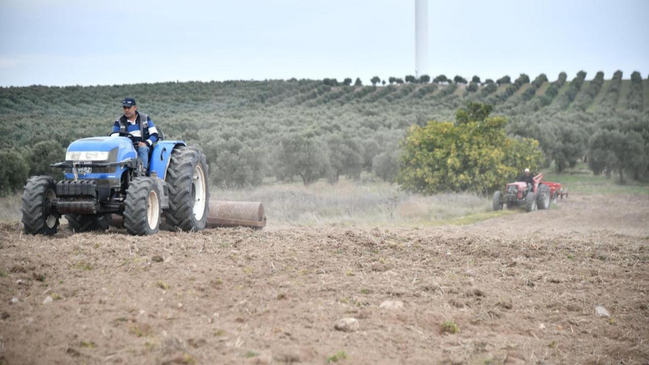 Akhisar Belediyesi 125 Dönümlük Arazide Buğday ve Arpa Ekti