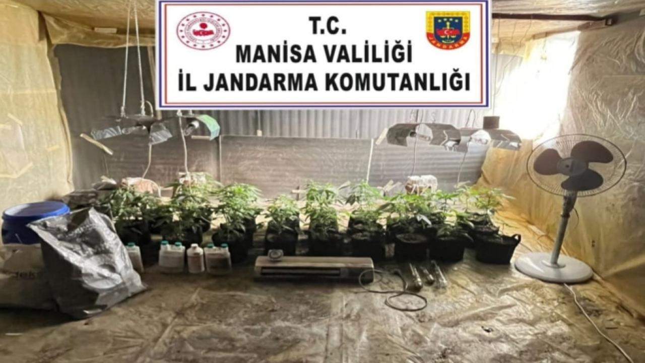 Akhisar’da Jandarmadan İklim Kontrollü Kenevir Operasyonu