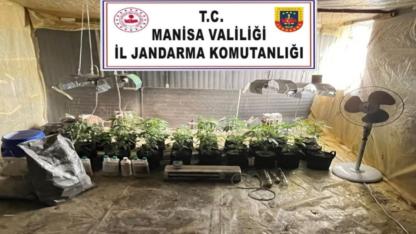 Akhisar’da Jandarmadan İklim Kontrollü Kenevir Operasyonu