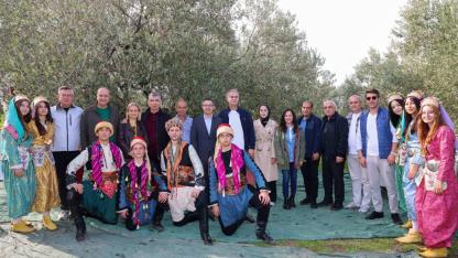 Kömürün Kenti, Zeytinin Bereketi: Soma Zeytinde Şaha Kalktı