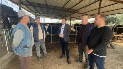 Manisalı Besiciler: “Kireç Masrafı da Eklenince Dayanamayız”