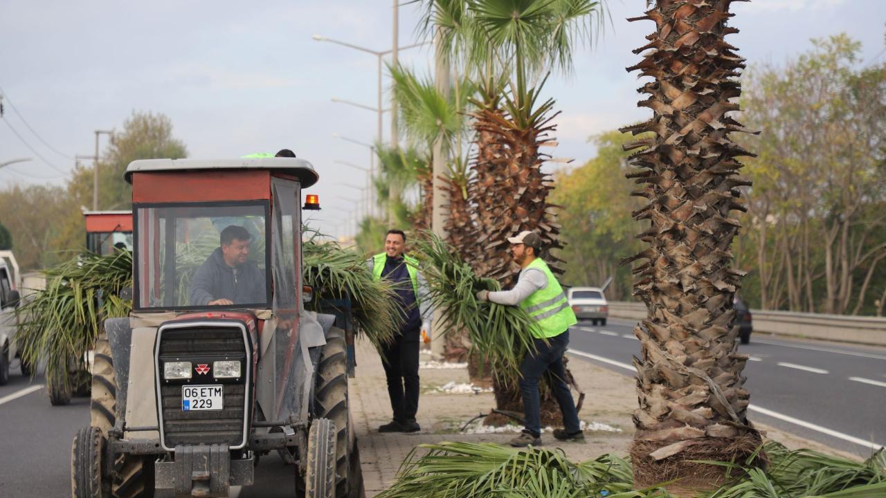 Turgutlu’da Park ve Bahçeler Ekipleri Sahada