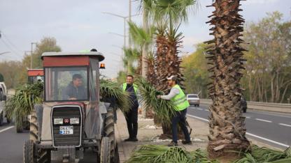 Turgutlu’da Park ve Bahçeler Ekipleri Sahada