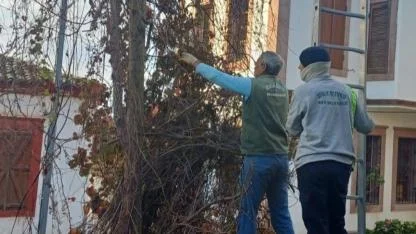 Ayvalık’ta kışa hazırlık için temizlik seferberliği