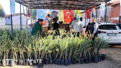 Büyükşehirden Akhisarlı üreticiye 29 bin fidan desteği