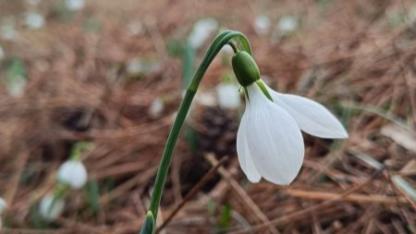 Manisa'nın Zirvesindeki Saklı Hazine