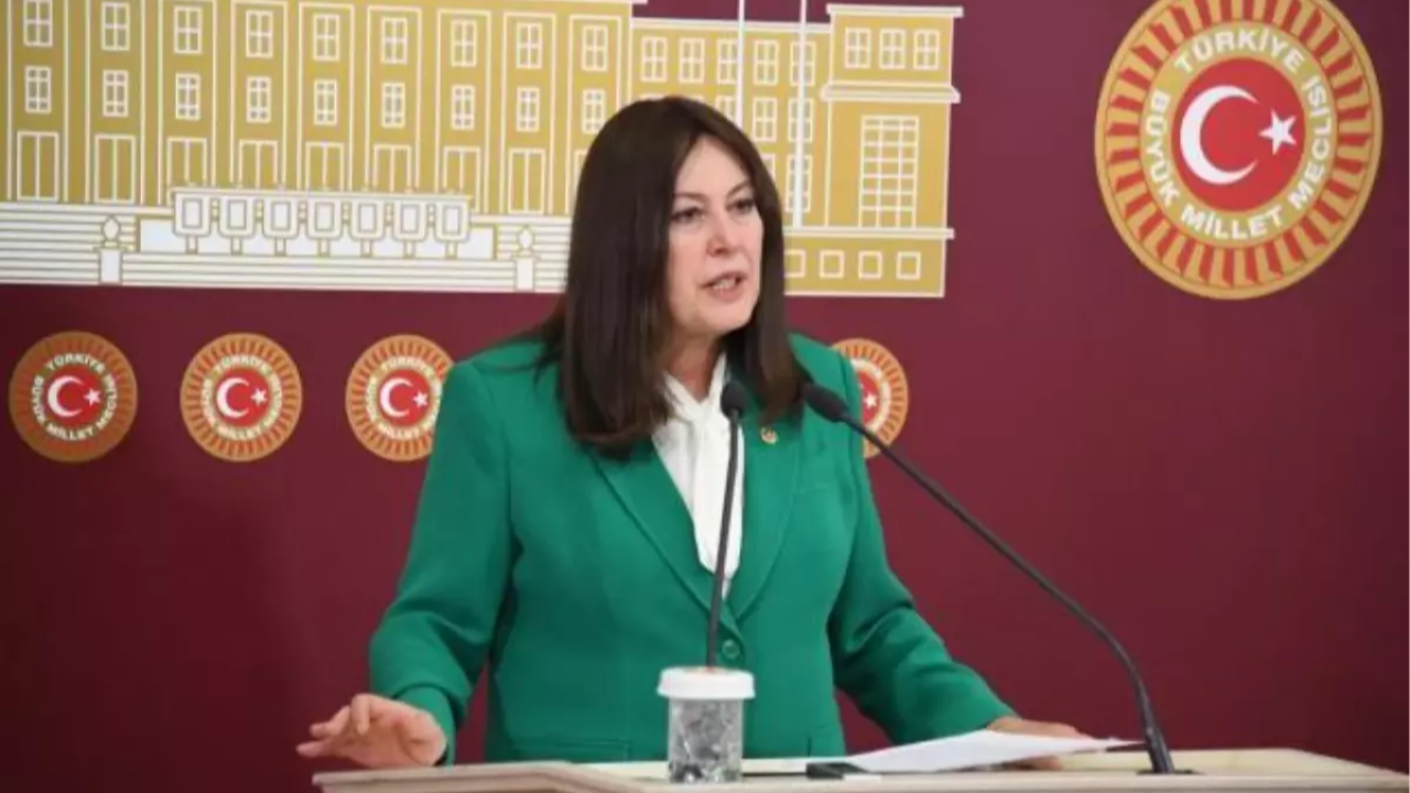 Sunat, Vestel’deki işten çıkarmaları Meclis’e taşıdı