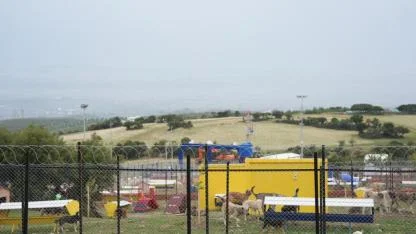 Turgutlu’dan Can Dostlara Mama Desteği Çağrısı