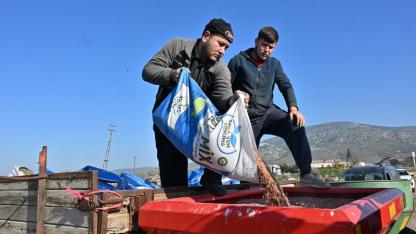 Yem tohumu desteğiyle Sarıçalı Merası yenileniyor