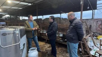 Besicinin Süt İsyanı: İnek Doğurunca Üzülüyorum