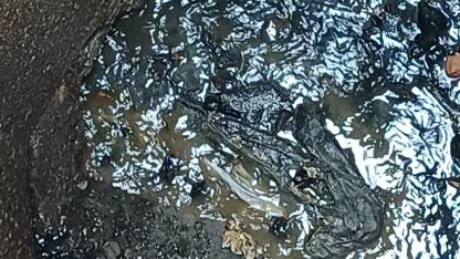 Manisa’da kanalizasyonda ıslak mendil uyarısı