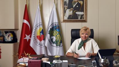 Ege Pamuğunda Rekolte Kaybı Yüzde 15’i Buldu