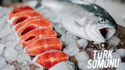 Su Ürünleri İhracatı 4 Milyar Doları Aştı