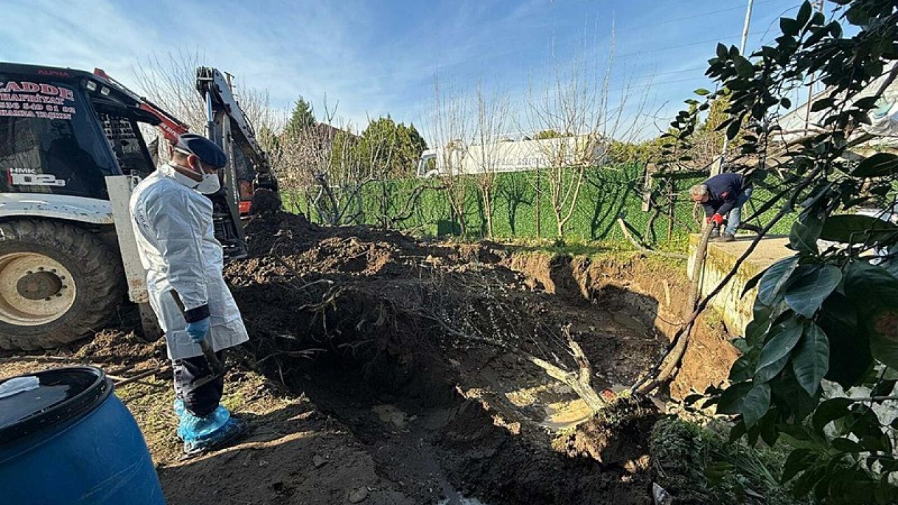 17 Yıllık Kayıp Dosyada Cinayet İtirafı: Kemikler Bahçede Bulundu