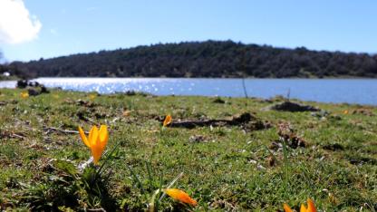 Gediz İçin Ortak Çağrı: “Gediz Ölüyor, Birlikte Kurtaralım”