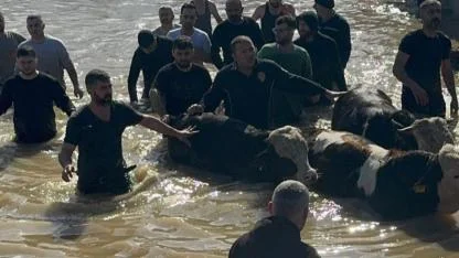 Gediz Taştı, Büyükşehir Mahsur Kalan 44 Vatandaşı Kurtardı