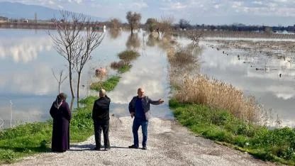 Gediz Taştı, Ovada Hayvanlar Mahsur Kaldı
