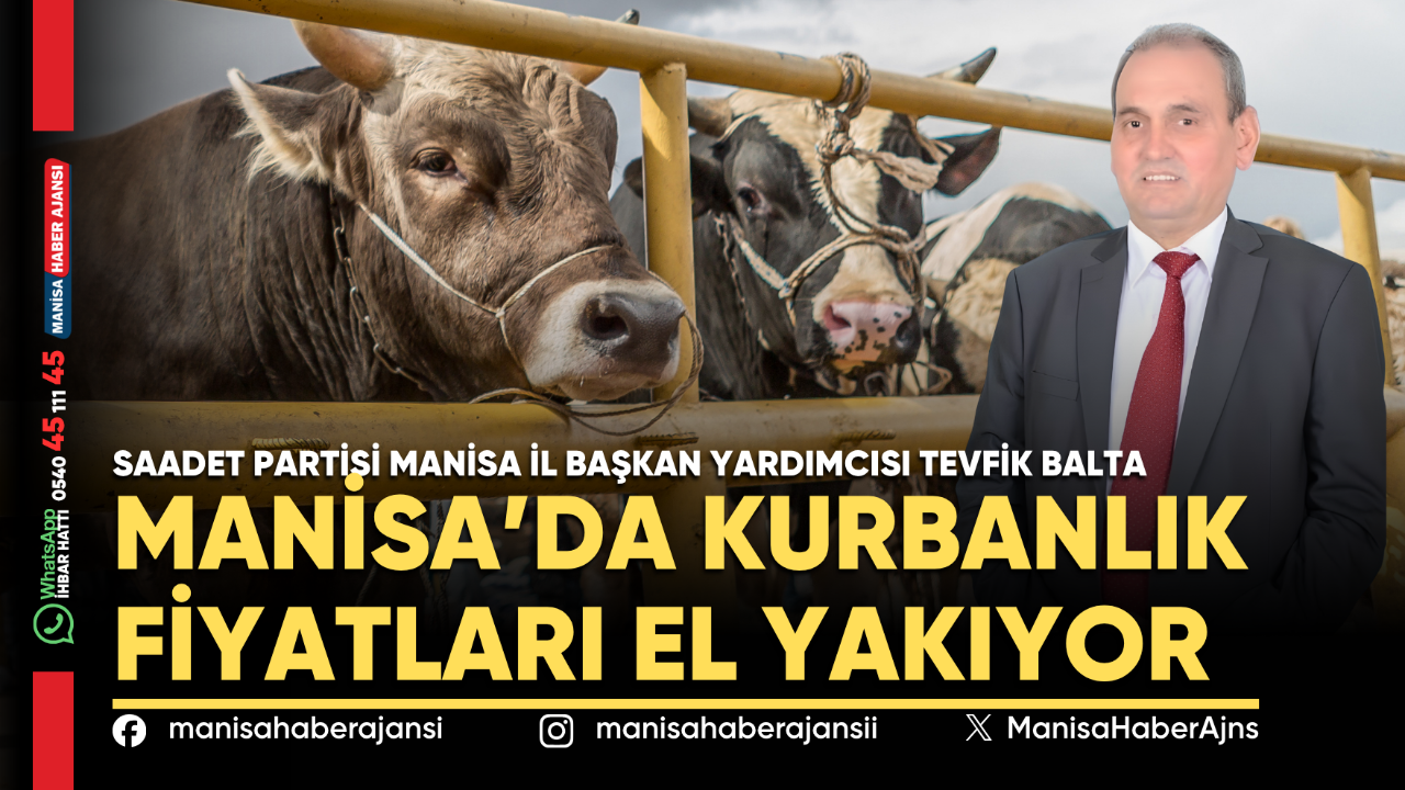 Manisa’da Kurbanlık Fiyatları El Yakıyor