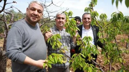 Şehzadeler’de Kiraz Hasadı Öncesi Üreticiyle Buluşma